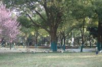 south_campus_1_2022_02_greenery_with_birds_1