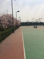 south_campus_1_basketball_field_spring_2