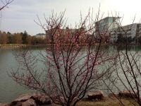 south_campus_1_early_spring_lake_05