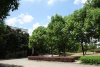 south_campus_1_road_summer_2017_6