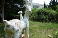south_campus_1_summer_2019_deer_statue_2