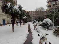 south_campus_1_winter_2018_foreign_exchange_students_quarters_2