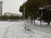 south_campus_1_winter_2018_road_impression_1
