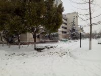 south_campus_1_winter_2018_road_impression_5