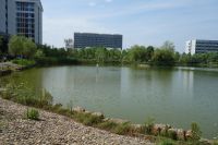 south_campus_2_east_lake_summer_2017_11