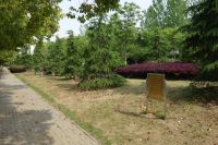 south_campus_2_friendship_trees_2020_1