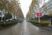 south_campus_2_rainy_day_winter_2020_road_2
