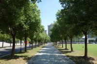south_campus_2_road_summer_2018_07