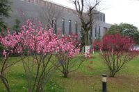 south_campus_2_spring_2018_flowers_4