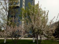 south_campus_2_spring_2020_flowers_14
