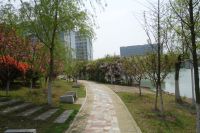 south_campus_2_spring_2020_greenery_12