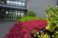 south_campus_2_spring_2020_greenery_14