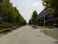 south_campus_2_summer_impressions_administrative_building_and_library_road_1