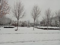 south_campus_2_winter_jan_2018_snow_1