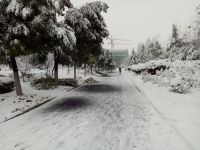 south_campus_2_winter_jan_2018_snow_road_10