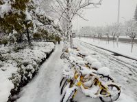 south_campus_2_winter_jan_2018_snow_road_outside