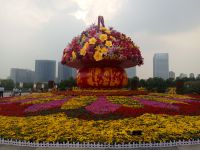 flowers_in_front_of_hefei_city_hall_autumn_2019