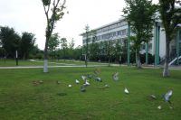 south_campus_1_doves_summer_2017_2
