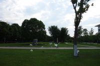south_campus_1_doves_summer_2017_5