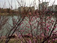 south_campus_1_early_spring_lake_06