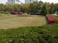 south_campus_1_green_impression_spring_2019_1