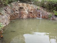 south_campus_1_little_artificial_waterfall