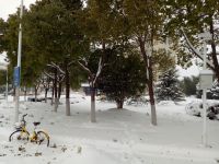 south_campus_1_winter_2018_road_impression_2