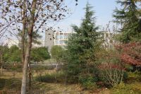 south_campus_2_autumn_library_03