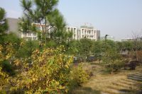 south_campus_2_autumn_library_04