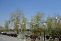 south_campus_2_east_lake_spring_2019_2