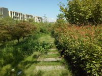 south_campus_2_green_impression_summer_2017_19