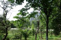 south_campus_2_green_impression_summer_2017_6