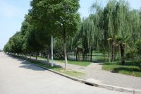 south_campus_2_impression_road_and_lake_near_library_summer_2017