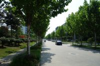 south_campus_2_impression_road_summer_2017_08