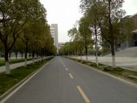 south_campus_2_road_near_library_spring_2020