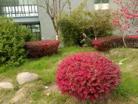 south_campus_2_spring_2020_flowers_15