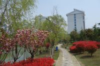 south_campus_2_spring_2020_greenery_07