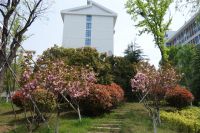 south_campus_2_spring_2020_greenery_10