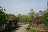 south_campus_2_spring_2020_greenery_11