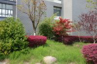 south_campus_2_spring_2020_greenery_13