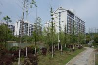south_campus_2_spring_2020_greenery_16