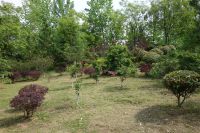 south_campus_2_spring_2020_greenery_17