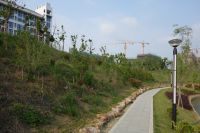 south_campus_2_spring_2020_greenery_23