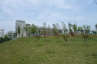 south_campus_2_spring_2020_greenery_29