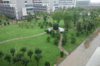 south_campus_2_view_from_building_36_on_a_rainy_day_in_summer_2017_2