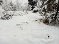 south_campus_2_winter_jan_2018_snow_7