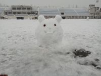 south_campus_2_winter_jan_2018_snow_figure_mouse