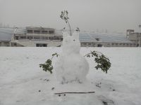 south_campus_2_winter_jan_2018_snow_figure_pig