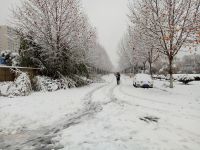 south_campus_2_winter_jan_2018_snow_road_1